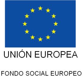 logo UNION EUROPEA
